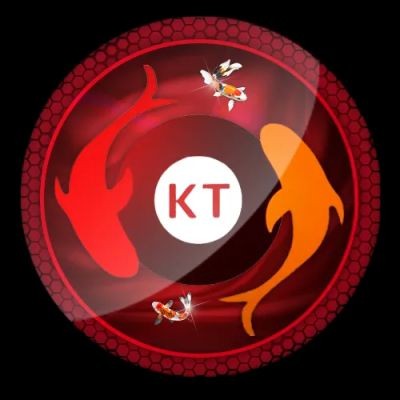 koitoto koitoto