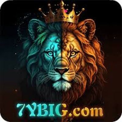 7ybig 7ybig